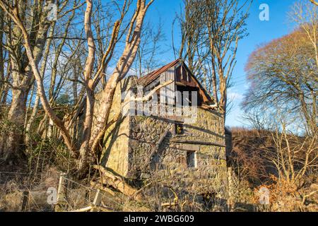 Ardtannes Mill, River Don, Inverurie, Aberdeenshire, Scozia Foto Stock