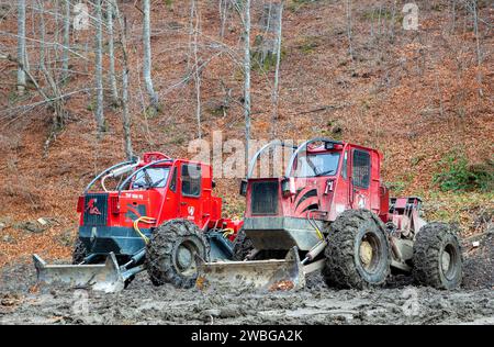 Due veicoli a trazione integrale parcheggiati fuori strada in un campo erboso, circondati da alberi Foto Stock