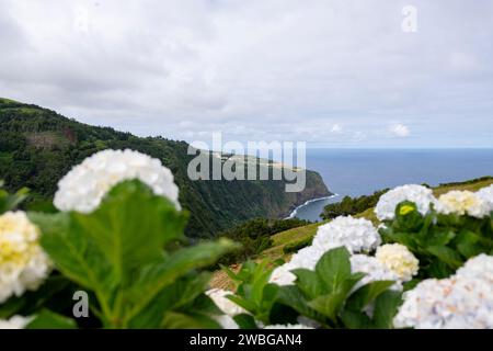 Splendido paesaggio a Ponta do Sossego nel Nordeste sull'isola di Sao Miguel nelle Azzorre Foto Stock