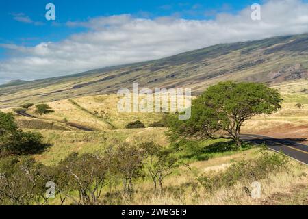 Piilani Highway a Maui: Un viaggio attraverso paesaggi sereni e lo spirito di Aloha. Foto Stock