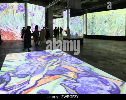 10 gennaio 2024, Tokyo, Giappone - le persone potranno vivere un'esperienza immersiva con i capolavori del pittore olandese Vincent Van Gogh in una mostra d'arte immersiva "Van Gogh Alive - grande Experiences" a Tokyo il 10 gennaio 2024. La mostra, che ha visto oltre 9 milioni di visitatori in 100 città, sarà presentata al magazzino Terrada fino a marzo 31. (Foto di Yoshio Tsunoda/AFLO) Foto Stock