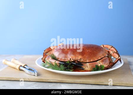 Delizioso granchio con verdure servite al tavolo su sfondo azzurro. Spazio per il testo Foto Stock