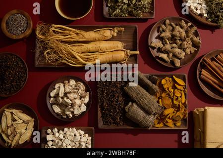 Lo sfondo rosso presentava molti tipi di erboristeria tradizionali collocati su piatti di legno. Viene visualizzata una vaschetta tonica. Per la pubblicità di farmaci con Foto Stock