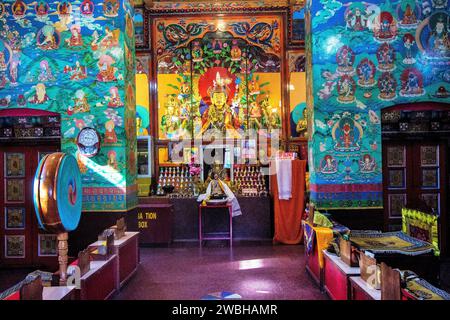 All'interno del monastero buddista Nyingmapa Gompa, Rewalsar, Nagar, Mandi, Himachal Pradesh, India, Asia Foto Stock