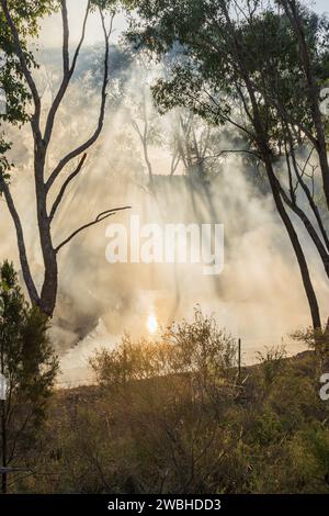 La luce che scorre attraverso il fuoco dei boscaioli e gli alberi di gomma intorno a una diga rurale a Campbell's Creek, nel Victoria centrale, Australia Foto Stock