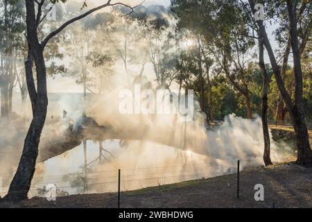 La luce che scorre attraverso il fuoco dei boscaioli e gli alberi di gomma intorno a una diga rurale a Campbell's Creek, nel Victoria centrale, Australia Foto Stock