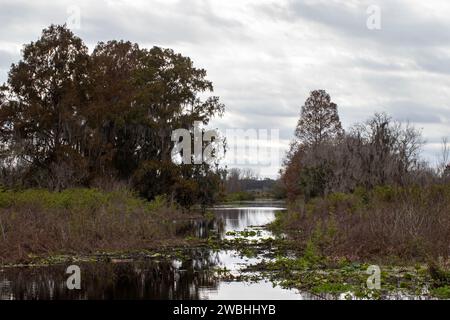 Lago Tohopekaliga vicino a Kissimmee in Florida, Stati Uniti Foto Stock