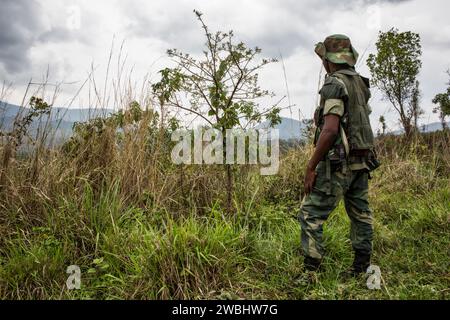 Soldati governatori vicino a Goma, Kivu settentrionale, Repubblica Democratica del Congo, Africa Foto Stock