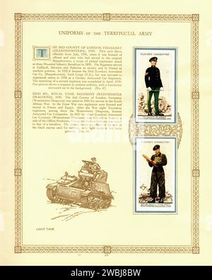 Album di carte di sigaretta d'epoca  Uniforms of the Territorial Army 004 Illustration Foto Stock