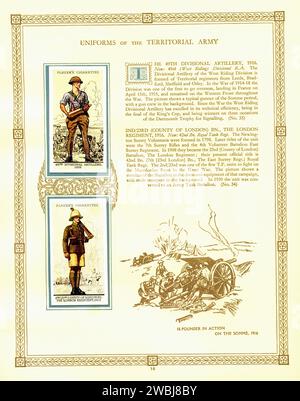 Album di carte di sigaretta d'epoca  Uniforms of the Territorial Army 001 Illustration Foto Stock