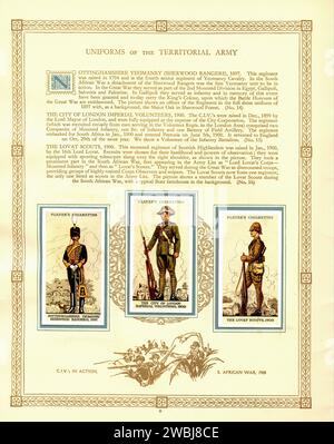 Album di carte di sigaretta d'epoca  Uniforms of the Territorial Army 003 Illustration Foto Stock