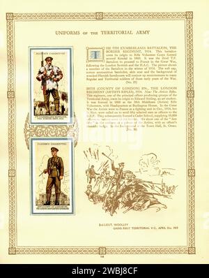 Album di carte di sigaretta d'epoca  Uniforms of the Territorial Army 002 Illustration Foto Stock