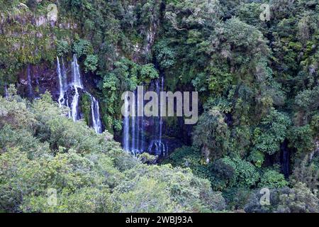 Le Grand Galet Falls (chiamate anche Langevin Falls dal nome del suo fiume) si trovano nel comune di Saint-Joseph sull'isola di Réunion. Foto Stock