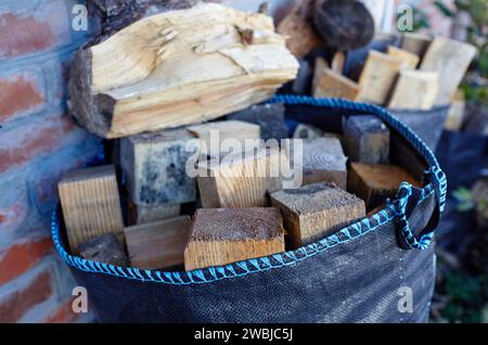 Sacchetto di legna da ardere. Preparazione per un picnic in natura o accensione della fornace. Concetto di viaggio e turismo Foto Stock