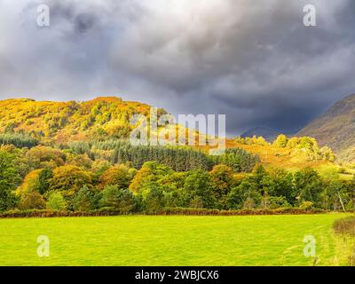 Colori autunnali di Glen Lyon vicino a Fortingall Perthshire, Scozia, Regno Unito Foto Stock