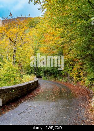 Colori autunnali di Glen Lyon vicino a Fortingall Perthshire, Scozia, Regno Unito Foto Stock