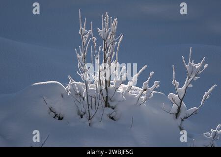 Biathlon Welt Cup 10 KM Sprint der Herren a Hochfilzen, Österreich AM 14.12.2018 Foto Stock