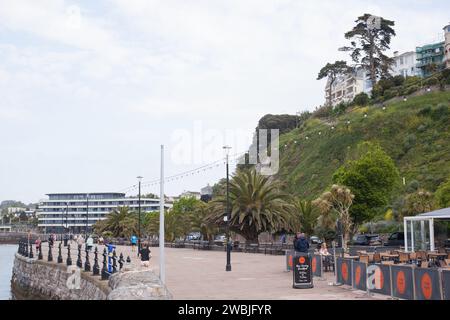 Vista sul porticciolo, a Torquay, Torbay nel Devon nel Regno Unito Foto Stock