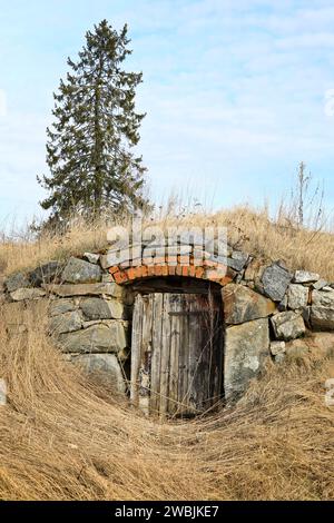 Porta di legno alla vecchia cantina di terra nella Finlandia rurale con un abete rosso sullo sfondo. Aprile 2021. Foto Stock