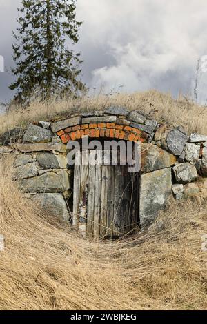 Porta di legno alla vecchia cantina di terra nella Finlandia rurale con un abete rosso sullo sfondo. Aprile 2021. Foto Stock