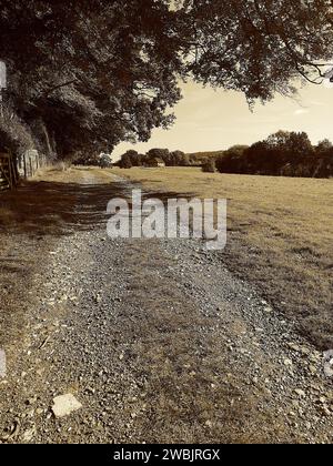 Fotografia di un paesaggio nella contea del Sussex, Regno Unito. Foto Stock