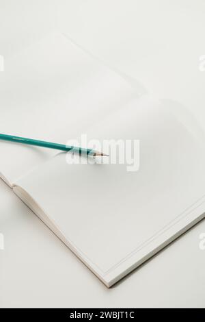 Una matita verde viene posta sul libro aperto Foto Stock