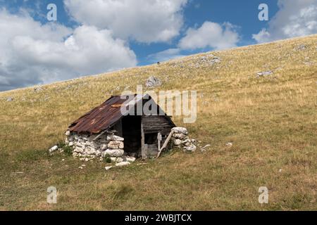 Vecchia capanna del pastore abbandonata in mezzo al pascolo sul versante del monte Vlasic, pareti in pietra e lastre di metallo arrugginite sul tetto Foto Stock