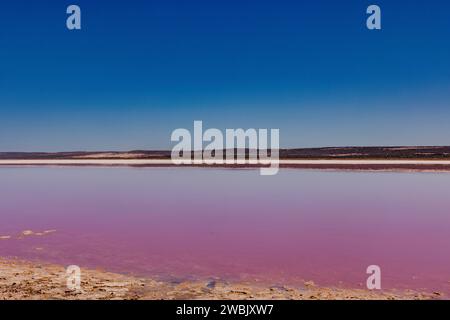 Un'immagine accattivante che mostra l'affascinante acqua rosa che lambisce dolcemente sulle coste sabbiose dell'Australia Occidentale Foto Stock