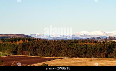 Dundee, Tayside, Scozia, Regno Unito. 11 gennaio 2024. Tempo nel Regno Unito: Le montagne innevate Driesh e Mayar delle Angus Glens dietro le Dundee Sidlaw Hills e Strathmore Valley creano uno splendido paesaggio invernale con il sole di gennaio. Crediti: Dundee Photographics/Alamy Live News Foto Stock