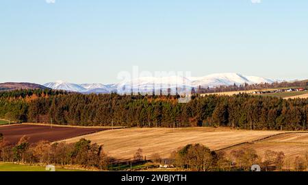 Dundee, Tayside, Scozia, Regno Unito. 11 gennaio 2024. Tempo nel Regno Unito: Le montagne innevate Driesh e Mayar delle Angus Glens dietro le Dundee Sidlaw Hills e Strathmore Valley creano uno splendido paesaggio invernale con il sole di gennaio. Crediti: Dundee Photographics/Alamy Live News Foto Stock