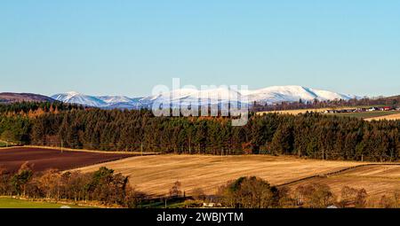 Dundee, Tayside, Scozia, Regno Unito. 11 gennaio 2024. Tempo nel Regno Unito: Le montagne innevate Driesh e Mayar delle Angus Glens dietro le Dundee Sidlaw Hills e Strathmore Valley creano uno splendido paesaggio invernale con il sole di gennaio. Crediti: Dundee Photographics/Alamy Live News Foto Stock