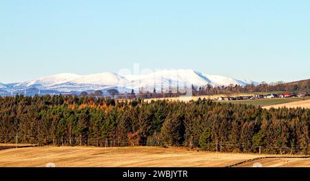 Dundee, Tayside, Scozia, Regno Unito. 11 gennaio 2024. Tempo nel Regno Unito: Le montagne innevate Driesh e Mayar delle Angus Glens dietro le Dundee Sidlaw Hills e Strathmore Valley creano uno splendido paesaggio invernale con il sole di gennaio. Crediti: Dundee Photographics/Alamy Live News Foto Stock