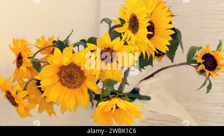 Girasole in un vaso in casa. Fiori gialli luminosi e vivaci. Vita di campagna. Foto Stock