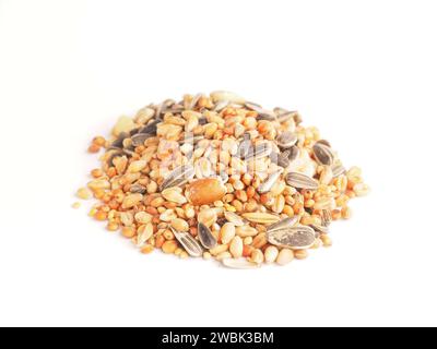 Cibo per uccelli su sfondo bianco, primo piano, concetto di alimentazione degli uccelli Foto Stock