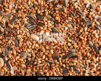 Consistenza del cibo per uccelli che utilizza come sfondo, primo piano, concetto di alimentazione degli uccelli, vista dall'alto Foto Stock