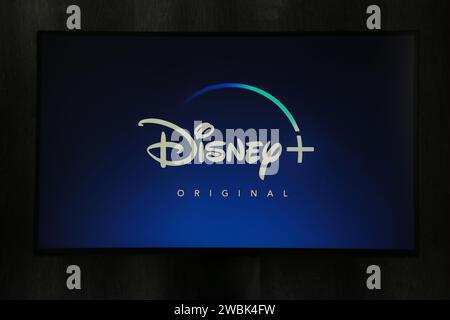 Nikolaev, Ucraina - 20 novembre 2021. In questa foto è illustrato lo sfondo del logo Disney. Vista dall'alto. Foto Stock