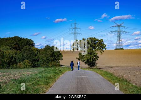 Entroterra di Dachau vicino a Bergkirchen, distretto di Dachau, Baviera, Germania Foto Stock