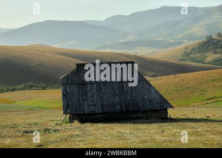 Un vecchio fienile di legno nella montagna autunnale di Zlatibor, Serbia Foto Stock