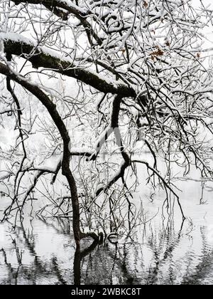 Paesaggio invernale con alberi, riflessi nell'acqua Foto Stock