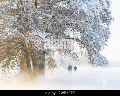 Paesaggio invernale con nebbia e silhouette di persone Foto Stock