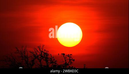 Tramonto a Savannah, Masai Mara Park in Kenya Foto Stock