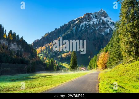 Autunno nella valle Hintersteiner vicino al Giebelhaus, cime innevate sopra la foresta autunnale colorata, Alpi Allgäu, Baviera, Germania, Europa Foto Stock
