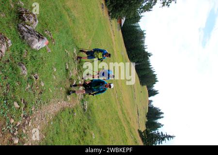 3 escursionisti di montagna sul Rehbergalm vicino a Mittenwald, giovani, escursioni in montagna, Werdenfels, alta Baviera, Baviera, Germania Foto Stock