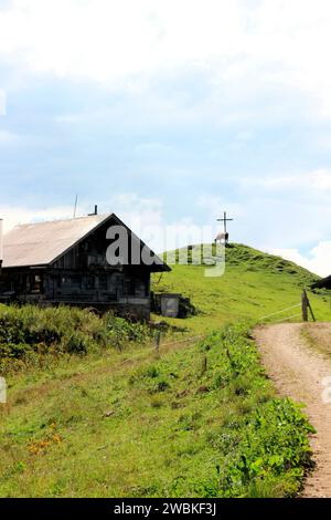 Allevamento libero, bestiame felice su un prato vicino al Lochalm, sullo sfondo una croce di legno, Bächental, Eben am Achensee, Tirolo, Austria Foto Stock