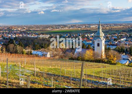 Bad Vöslau, vigneto, chiesa di Gainfarn, bacino Wiener Becken a Wienerwald, Vienna Woods, bassa Austria, Austria Foto Stock