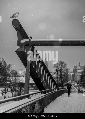 Germania, Schleswig-Holstein, Lübeck, Seagull e Passer-by sul ponte del vento Foto Stock