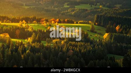 Gli alberi e la foresta brillano coloratamente nel sorgere del sole autunnale. Allgäu, Baviera, Germania Foto Stock