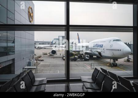 Francoforte sul meno, Assia, Germania - Lufthansa Boeing 747-8 Meclemburgo-Vorpommern aeromobili parcheggiati al cancello, Aeroporto di Francoforte sul meno, fra. Foto Stock