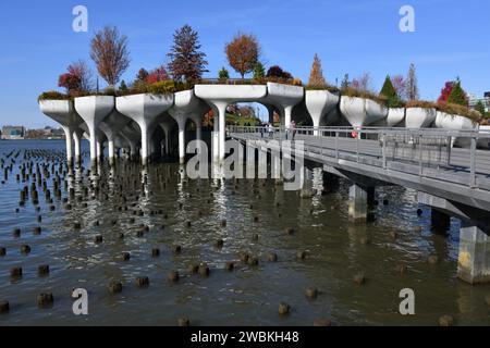 Costruito sui resti del vecchio Pier 54, Little Island Park sul fiume Hudson a Manhattan, New York City USA Foto Stock