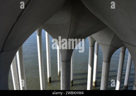 I pilastri a forma di tulipano del Little Island Park al molo 54 sul fiume Hudson New York City USA Foto Stock